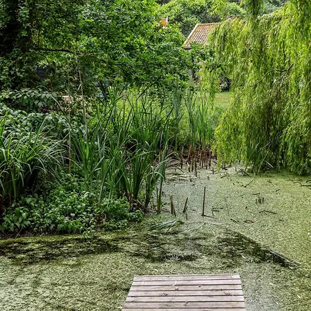 Close To Nature In With Own