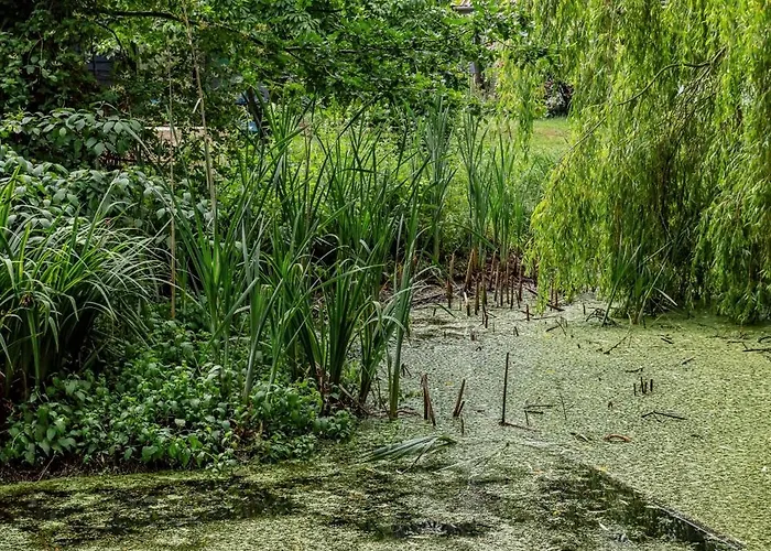 Close To Nature In With Own