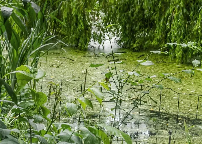 Close To Nature In With Own Jægerspris
